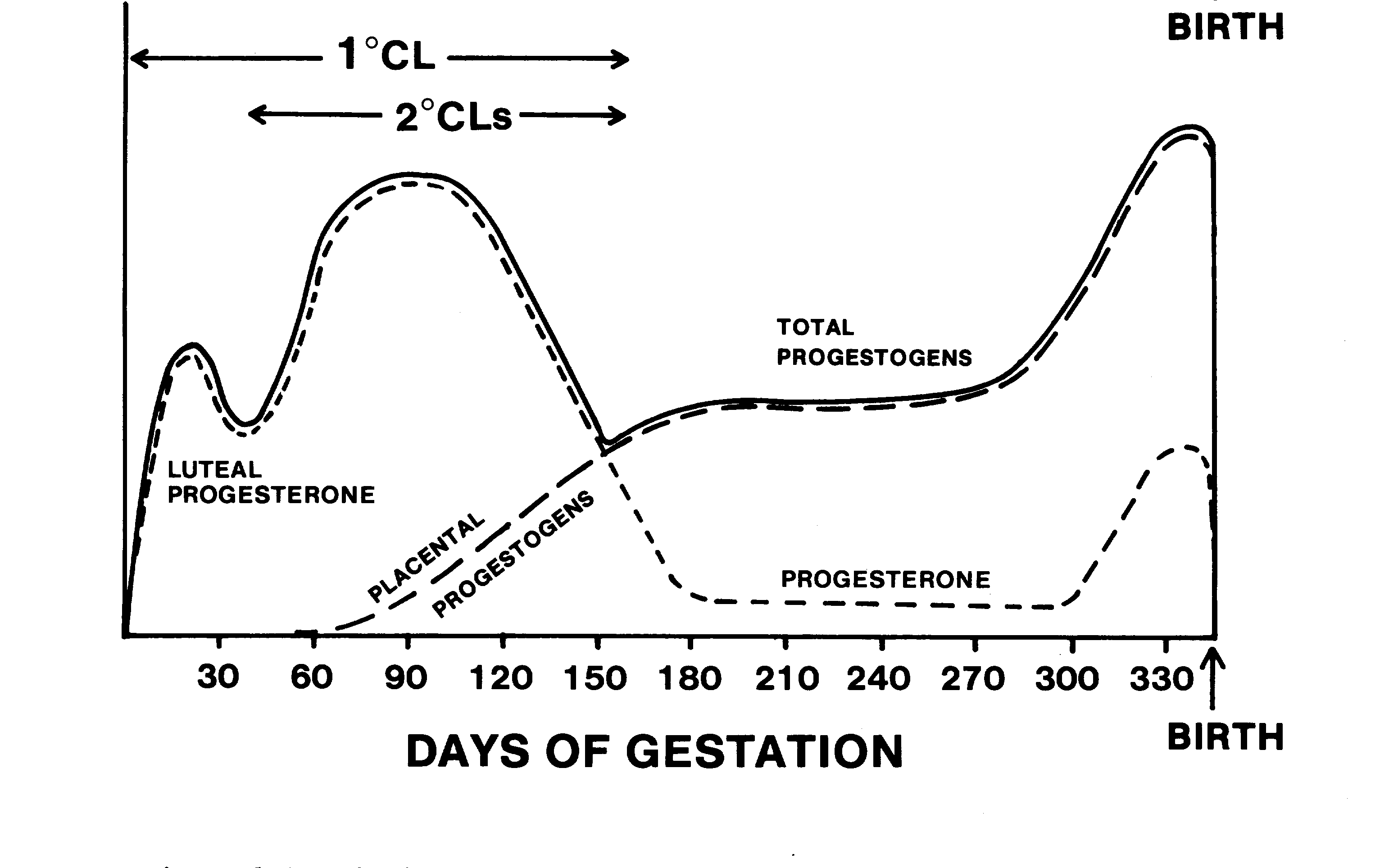 Progesterone levels after saline treatment in two control mares. Mare