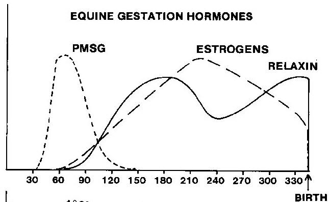 Progesterone levels after saline treatment in two control mares. Mare