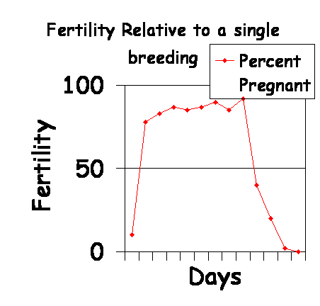 When is a female dog best sale most fertile