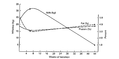 Lactation Chart Cow